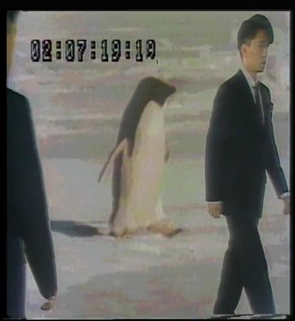 펭귄과 함께 춤을 | 2025. 2. 3.―2025. 3. 3. | 장소 백남준아트센터 1층 랜덤 액세스 홀