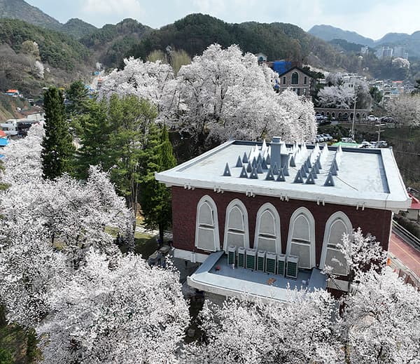 한글, 마음을 적다 | 2025. 3. 27.(목) ~ 7. 6.(일) | 충청남도역사박물관 기획전시실