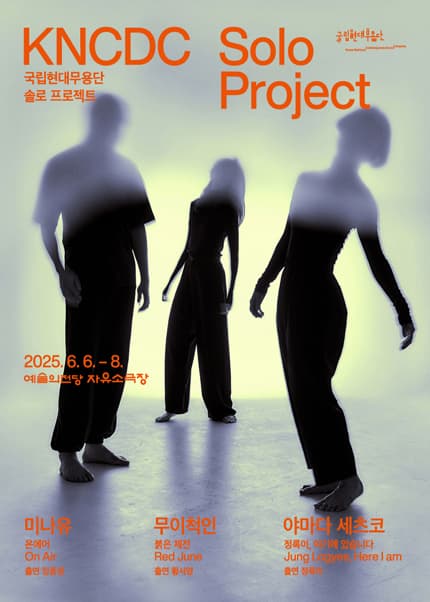 솔로 프로젝트 | 기간 2025-06-06 ~ 2025-06-08 | 장소 예술의전당 자유소극장