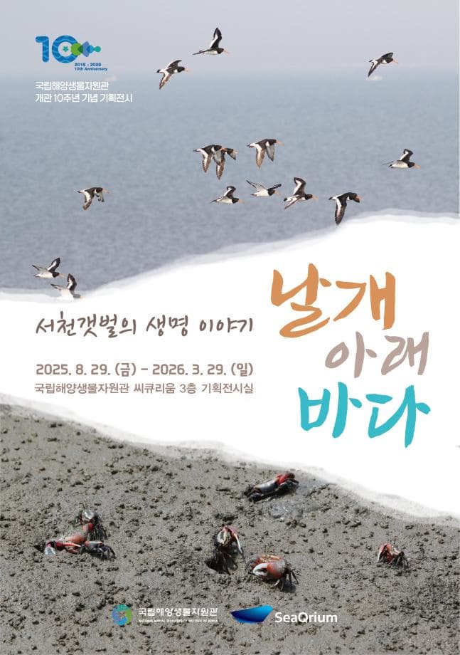서천갯벌의 생명이야기 : 날개 아래 바다 | 국립해양생물자원관 씨큐리움 3층 기획전시실 | 2025-08-29 ~ 2026-03-29