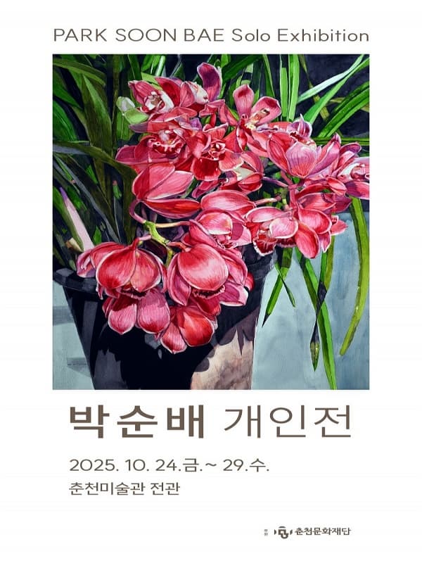 박순배 개인전 | 춘천미술관 전관 | 2025-10-24 ~ 2025-10-29