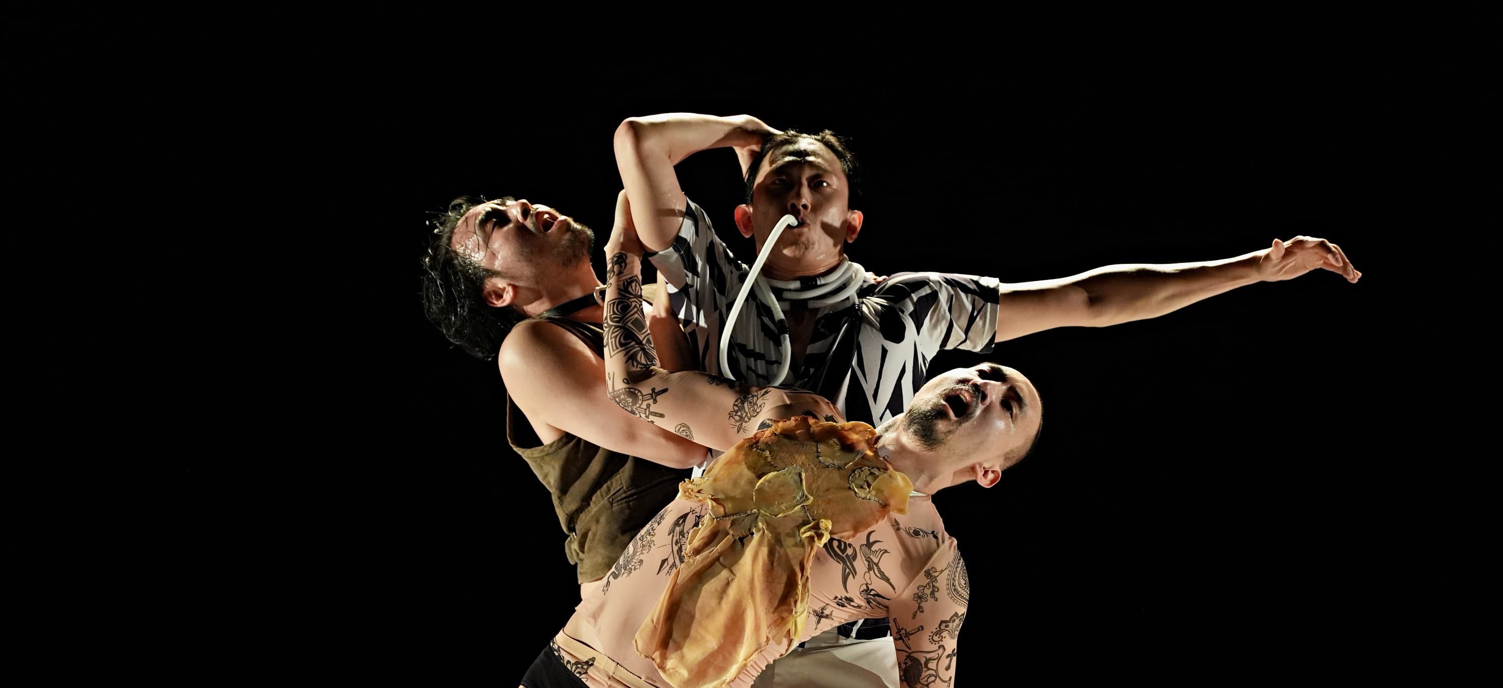 이은경 ＜세게, 쳐주세요＞- 2025 창작산실 올해의신작 무용 | 2026-02-27 - 2026-03-01 금요일 19:30 토요일 15:00, 19:00 일요일 15:00 | 대학로예술극장 소극장}