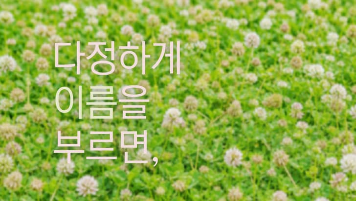 Poster for 다정하게 이름을 부르면,