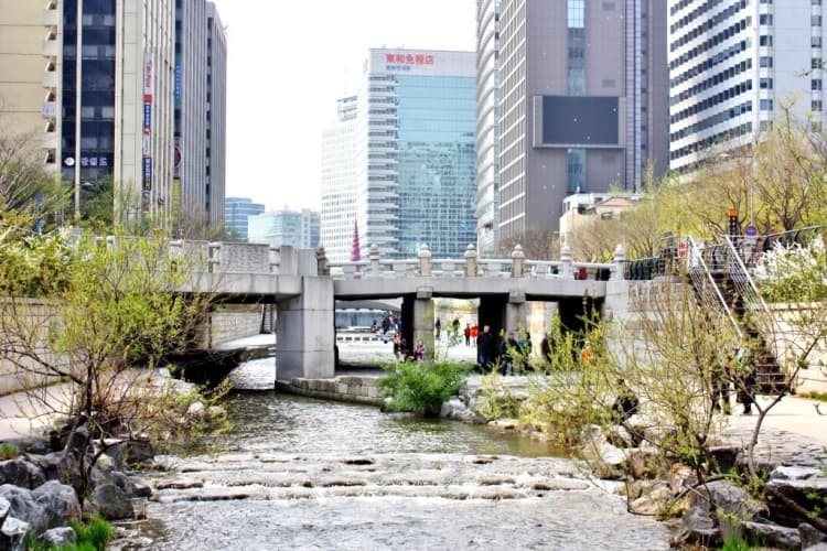 청계천과 함께 흐르는 서울의 문화