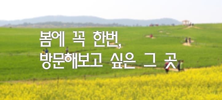 봄에 꼭 한번, 방문해보고 싶은 그 곳