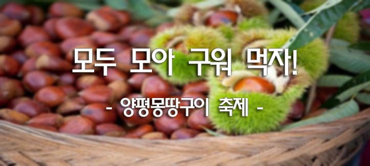 모두 모아 구워 먹자! - 양평몽땅구이축제 -