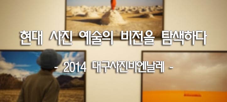 현대 사진 예술의 비전을 탐색하다 - 2014 대구사진비엔날레 -