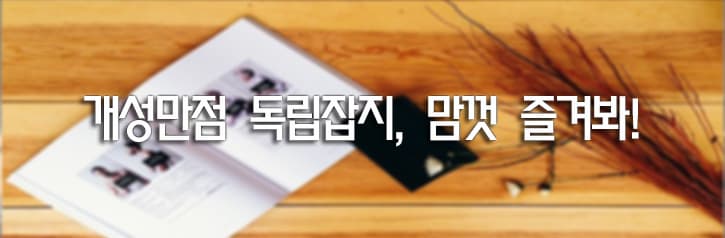 개성만점 독립잡지, 맘껏 즐겨봐~!