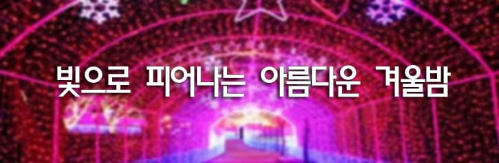 빛으로 피어나는 아름다운 겨울밤