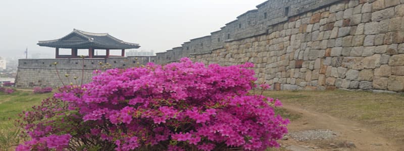 산책인 듯 트레킹인 듯…토박이도 몰랐던 수원화성 성곽 걷기