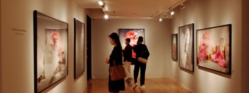거침없이 경계도 없이 ‘낯선 아름다움’을 만나다