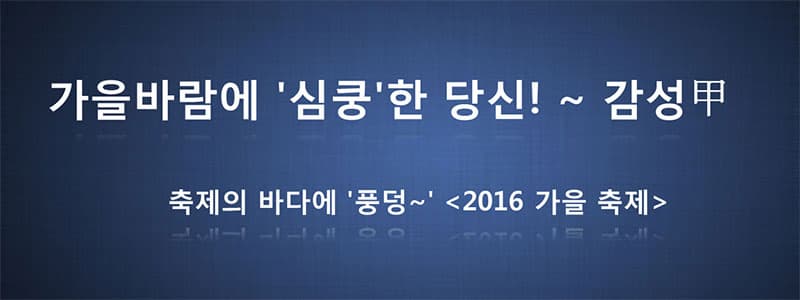 가을바람에 '심쿵'한 당신! ~ 감성甲 축제의 바다에 '풍덩~'