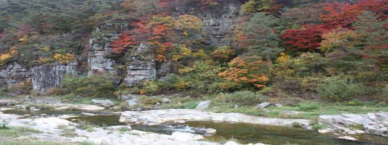 구름도 반해 쉬어 가고, 선인(仙人)도 취해 시흥(詩興)에 젖는다.