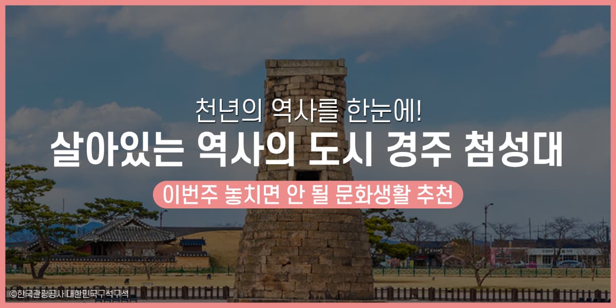 천년의 역사를 한눈에! 살아있는 역사의 도시 경주 첨성대
