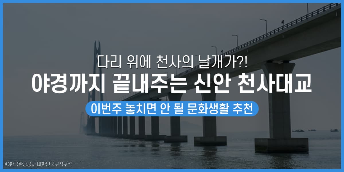 다리 위에 천사의 날개가?! 야경까지 끝내주는 신안 천사대교
