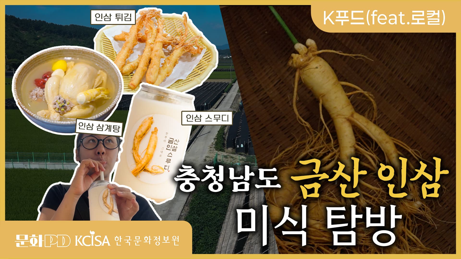 (문화PD) 뿌리 깊은 힘, 금산 인삼 이야기